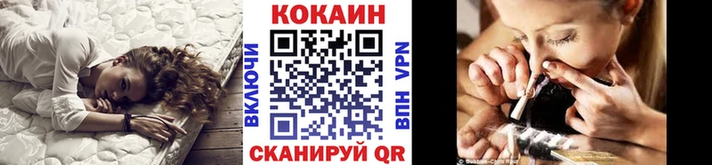 где купить наркоту  Судогда  Кокаин Колумбийский 