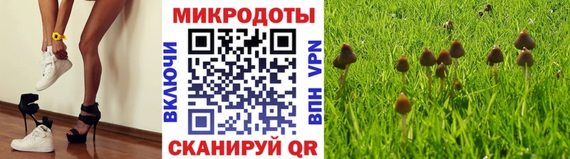 продажа наркотиков  даркнет какой сайт  Псилоцибиновые грибы GOLDEN TEACHER  Судогда 